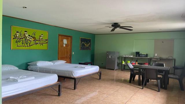Be My Guest Cabinas Puerto Viejo de Talamanca 외부 사진